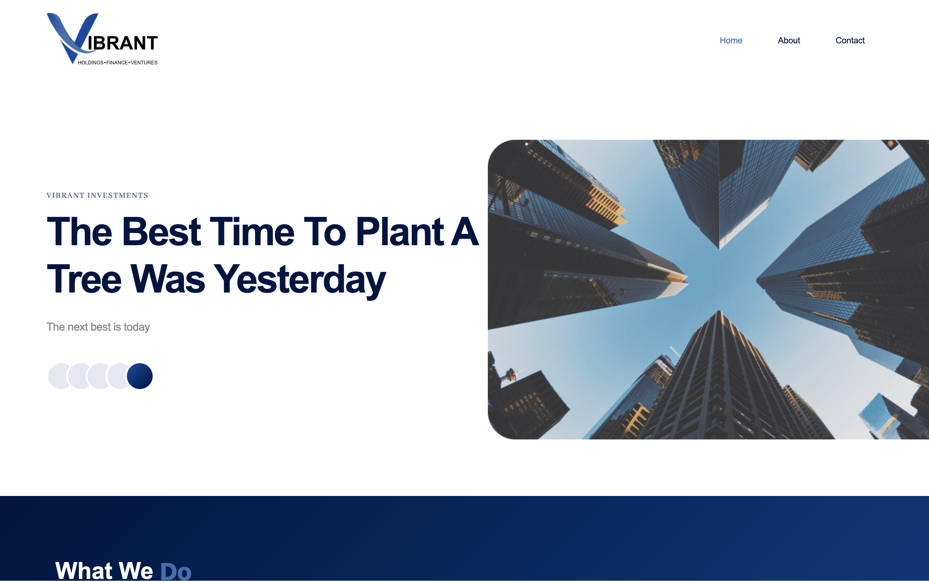 Vibvest Holdings — project screenshot